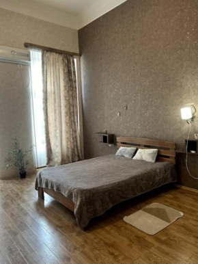 Apartment near Parliament